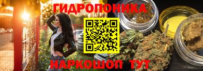 PSILOCYBIN Братск