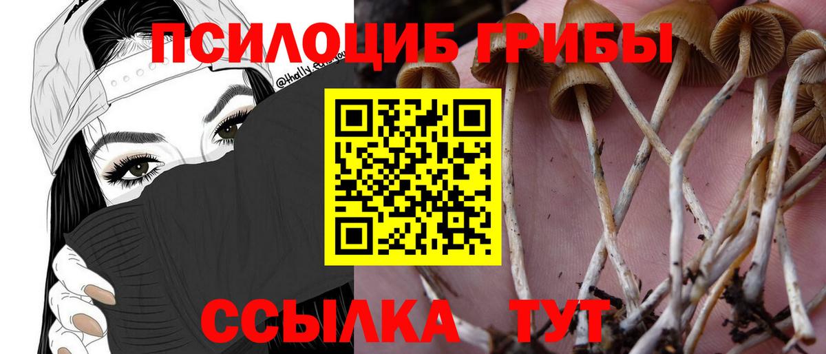 Псилоцибиновые грибы Psilocybe  Вход с VPN  Бузулук  Псилоцибиновые грибы ЛСД 
