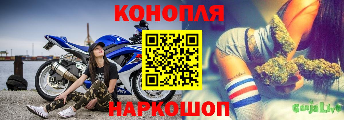 Бошки Шишки план Бузулук